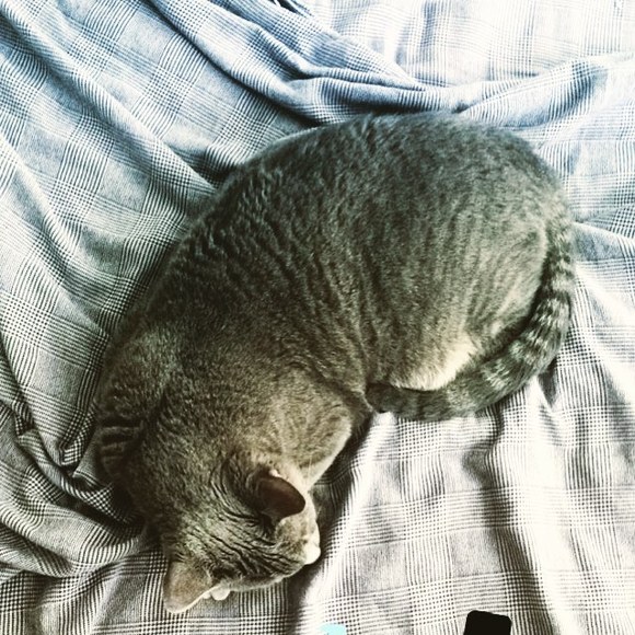 Meet your Posher, Alissa - Picture 1 of 1